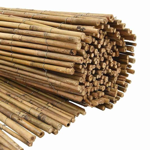 Bamboo stick screening 180cm - bamboo,