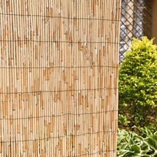 Natural Reed Fence Screening