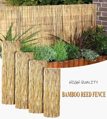 Bamboo cane screening roll - screening,