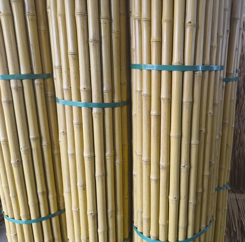 20yr artificial bamboo fencing - 20yr,
