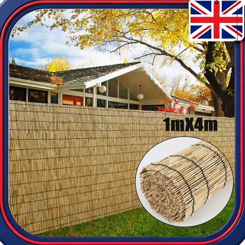 Bamboo screening roll natural - screening,