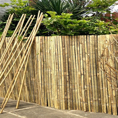 Bamboo slat fence - fence, screen