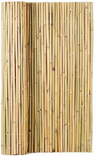Natural rolled bamboo fence - bamboo,