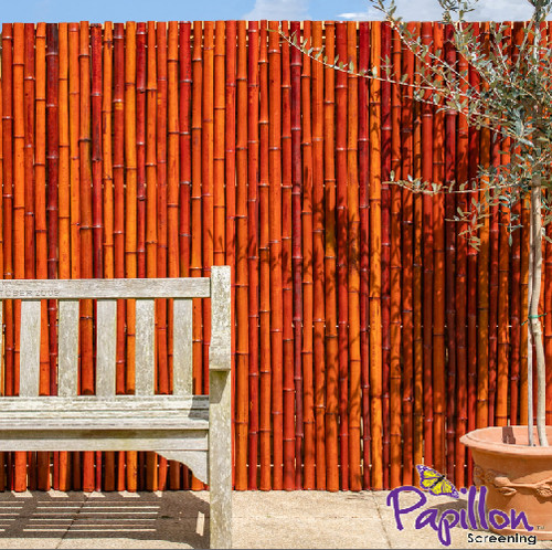 Red bamboo screening roll - bamboo,