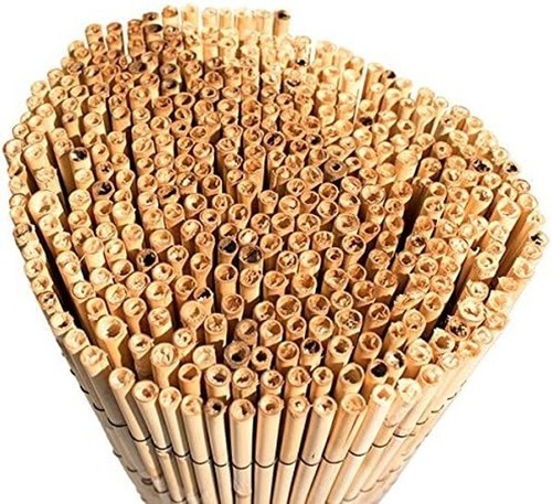 Extra thick reed - thick, bamboo